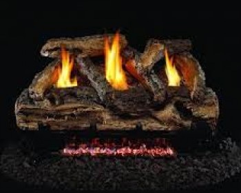 Real Fyre Image
